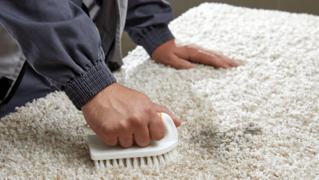 Professional Rug Cleaning Dromana